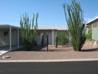 7726 Copper Nugget Dr, Tucson, AZ 85735-9073