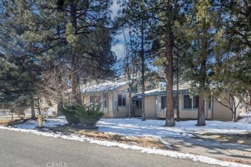 1101 Pinon Ln, Big Bear City, CA 92314-9549