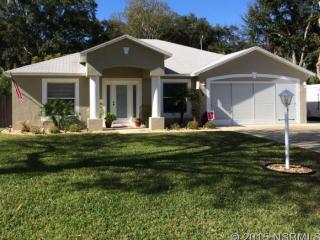 1624 Umbrella Tree Dr, Edgewater, FL 32132-3109