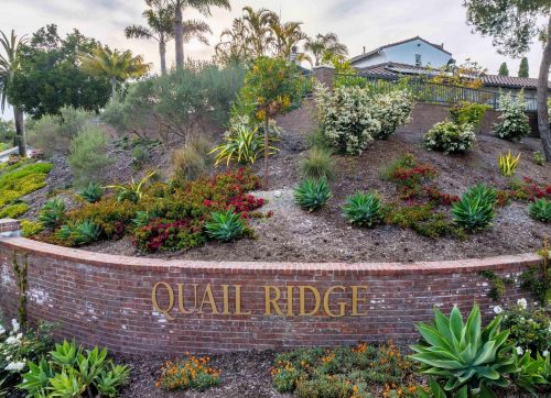 1355 Ravean Ct, Encinitas CA  92024-6204 exterior