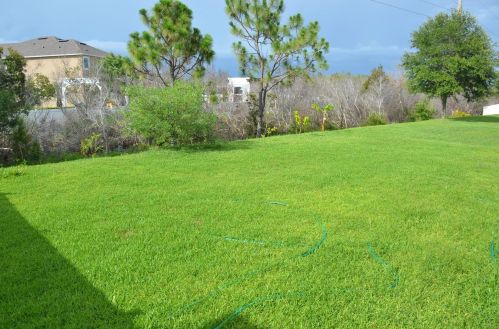 2723 Carrickton Cir, Orlando FL  32824-4229 exterior