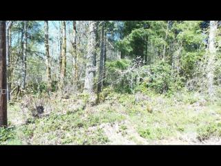 3694 Cooks Hill Rd, Waunch Prairie, WA 98531-9011