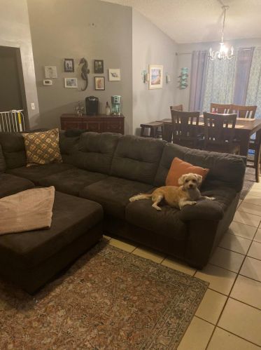 295 12 Ave, Vero Beach FL 32960-5001 exterior