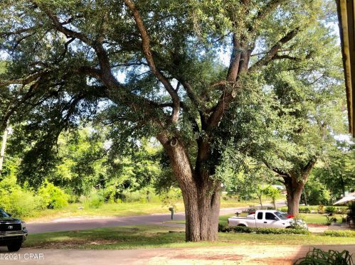 2834 Borden St, Marianna FL  32448-4248 exterior