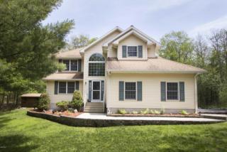 122 Gunstock Ln, Tafton, PA 18464-9614