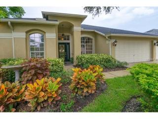 17315 Hubers Ct, Odessa, FL 33556-1961