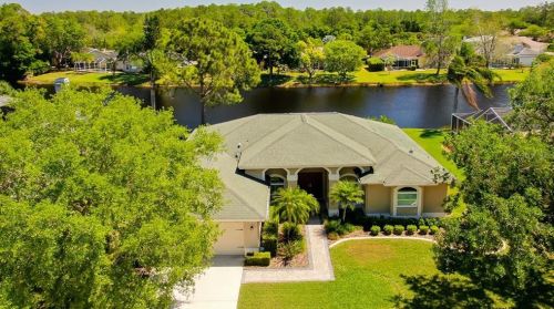 2475 Saddlewood Ln, Palm Harbor, FL 34685-2534