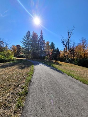 729 Mount Zion Rd, Florence, KY 41042-3128