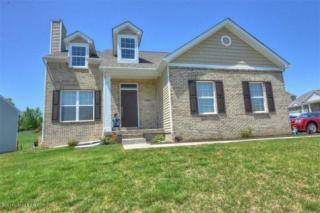 8807 Meadow Sweet Way, Louisville, KY 40228-1973