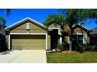 11414 Flora Springs Dr, Riverview, FL 33579-2411