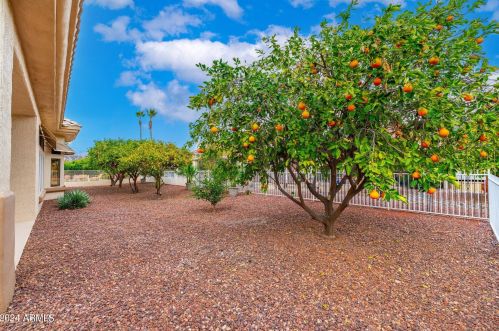 22033 Golf Club Dr, Sun City AZ 85375-2078 exterior