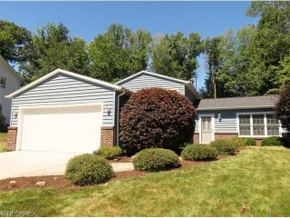 9582 Shadywood Ln, Twinsburg, OH 44087-1545