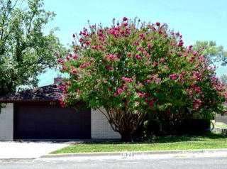 821 Laura Belle Dr, Kerrville, TX 78028-1646