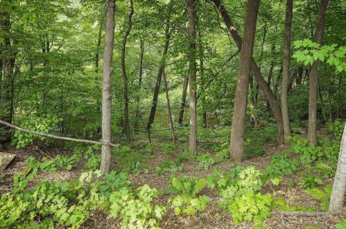 4950 90th St, Waterford MN  55057-4347 exterior