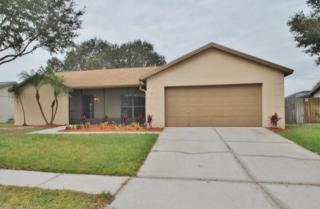 12841 Tallowood Dr, Riverview FL  33579-7013 exterior