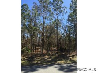 164 Daisy St, Homosassa, FL 34446-6008