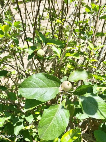 31 Tall Cedars, Irvine CA  92620-3669 exterior