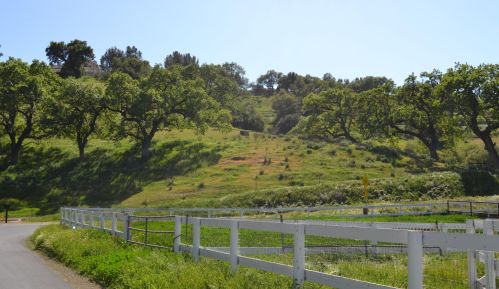 2968 Ballard Canyon Rd, Solvang CA  93463-9702 exterior