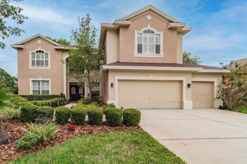 5458 Lockport Ct, Palm Harbor, FL 34685-3644