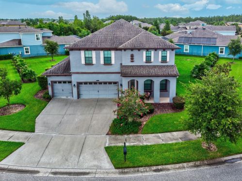 8239 Swiss Chard Cir, Land O Lakes, FL 34637-7662