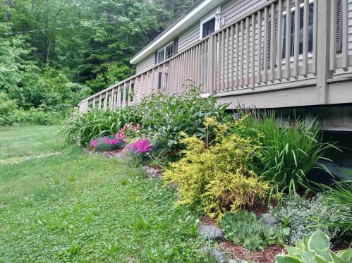 23 Jackson Rdg Rd, Danbury NH  03230-4147 exterior