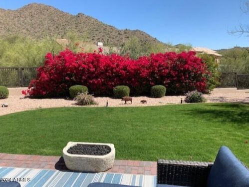 11941 138th St, Scottsdale, AZ 85259-3756