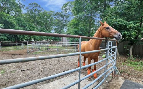 61 Bayonne Ave, Central Islip NY  11722-3429 exterior