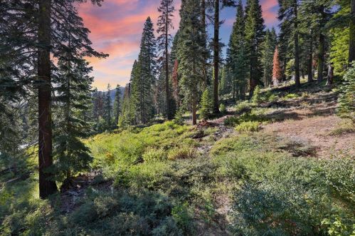20611 Us Highway 50, South Lake Tahoe, CA