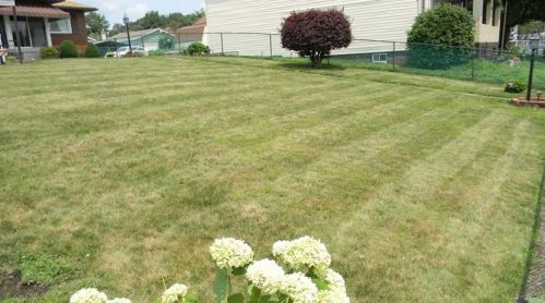 1213 Frank Ave, Jeannette, PA 15644-1539