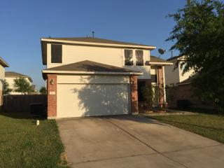 916 Sweet Leaf Ln, Pflugerville TX  78660-7966 exterior