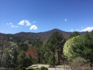 204 Blue Ridge Vis, Asheville, NC 28805-9742