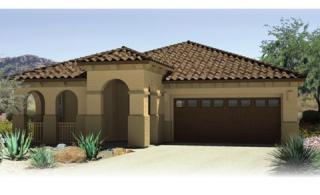 1073 Buckingham Ave, Gilbert, AZ 85297-1181