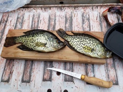 7991 Braddock Ave, Monticello MN  55362-3131 exterior