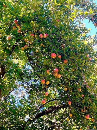 771 Emporia St, Denver CO 80010-3822 exterior