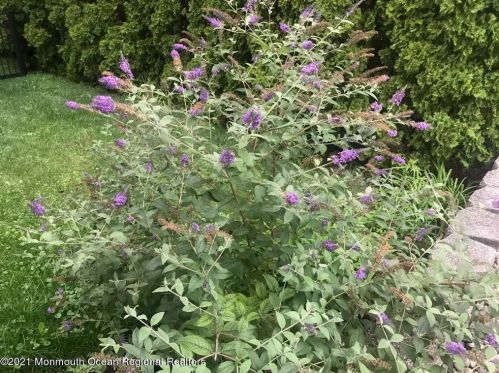 165 Taft Dr, Bricktown NJ  08724-3267 exterior