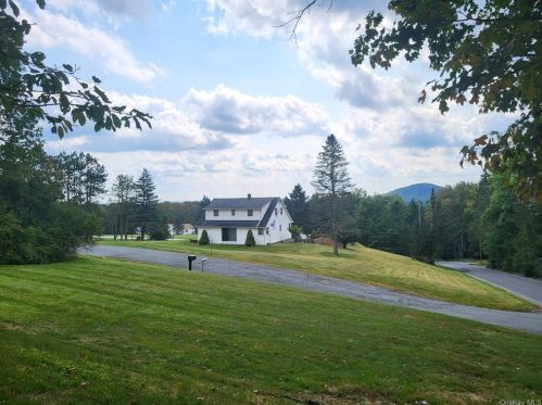 4 Skyview Dr, Liberty, NY 12754-3308