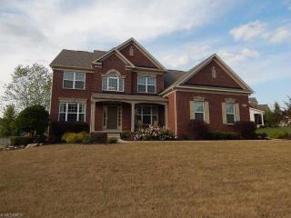 2907 Parnham Dr, Medina, OH 44256-6498