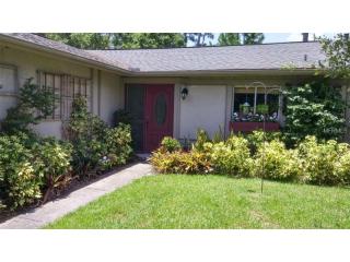 10216 Gray Eagle Dr, Orlando, FL 32821-8261