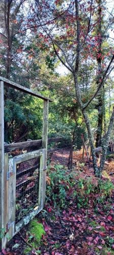 43400 Iversen Rd, The Sea Ranch CA  95445-7582 exterior