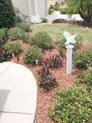 2518 Grey Dove Ct, Tarpon Springs FL  34691-8752 exterior