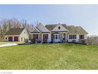 10949 Fairmount Rd, Newbury, OH 44065-9709