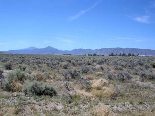 157 Mount Grant, Smith, NV 89430-9419