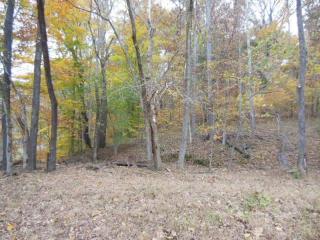 2968 Jarman Hollow Rd, Palmyra, TN 37142-2226
