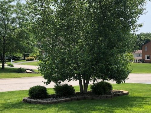 3333 Long Branch Dr, New Castle PA  16105-2929 exterior