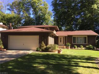 1051 Fireside Dr, Brunswick, OH 44212-2245