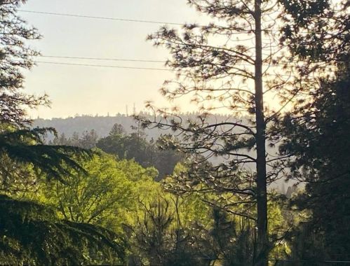 16676 Sharon Way, Grass Valley CA  95949-6603 exterior