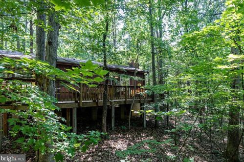 241 Blue Smoke Ln, New Market VA  22844-3815 exterior