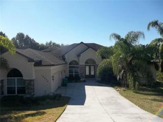 16326 Magnolia Bluff Dr, Montverde, FL 34756-3510
