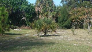 528 Lincoln Ave, Melbourne, FL 32901-4643