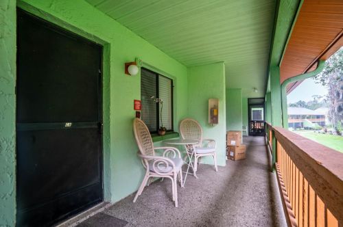 1955 Abrico Dr, Lutz, FL 33558
